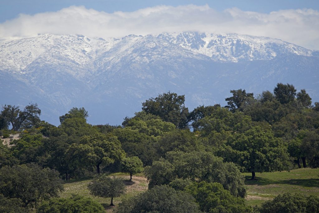 Spanish landscape